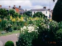 Even typical streets in England are a riot of flowers