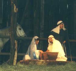 The stable, and the manger